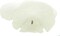 Arrow Head Sand Dollars | Real Arrowhead Sand Dollars 4"- 5" | Set of 3 | Sand Dollar Shells | Seashell Wedding | Sand Dollars for Crafts